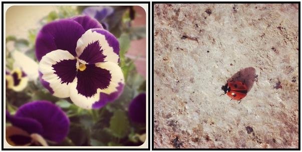 Mis iPhotos: Noviembre