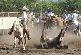Lista Final del Campeonato Charro MAM de Tecomán