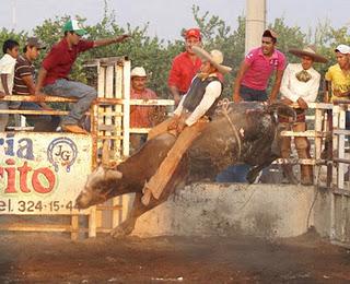 Compadres de Tecomán metió 310