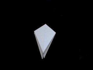 Conociendo la Base de Pájaro Conociendo la Base de Pájaro