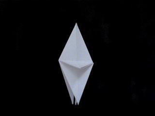 Conociendo la Base de Pájaro Conociendo la Base de Pájaro