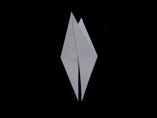 Conociendo la Base de Pájaro Conociendo la Base de Pájaro