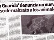 Córdoba, nuevo maltrato terrible