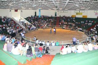 8 JORNADA LANZAROTE LUCHA CANARIA