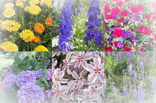 El sabor de las pepitas de manzana (Katharina Hagena)