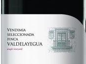 Pradorey Crianza 2008 Finca Valdelayegua