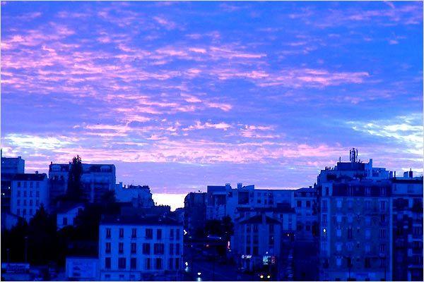 Donoma, Francia 2011