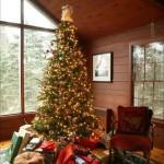 tumblr_kuxdzfyt951qzy62fo1_500 tumblr_kuxdzfyt951qzy62fo1_500