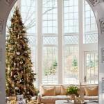 tumblr_lvhiqeMLaS1r6fn22o1_500 tumblr_lvhiqeMLaS1r6fn22o1_500