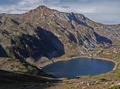 albo oriental cordal tarambicu