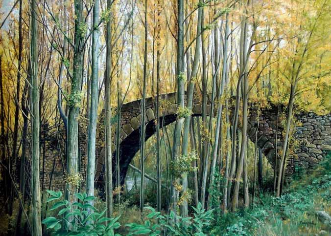 En defensa de los bosques de ribera