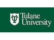 Becas investigacion Universidad Tulane 2012