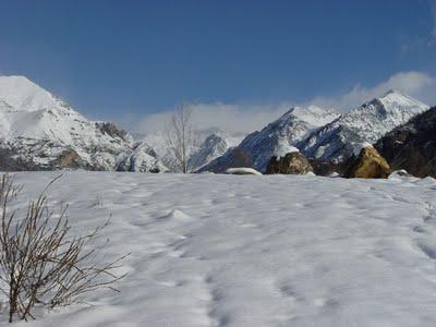 Breve glosario de clichés