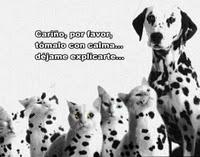 8 signos clasicos que delatan al infiel