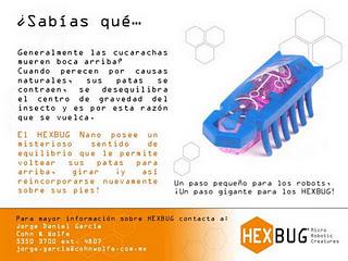 HEXBUG, los bichos robóticos más divertidos están en las jugueterías de México
