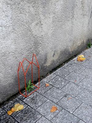 Serres Urbaines: proyecto de redescubrimiento de la biodiversidad urbana