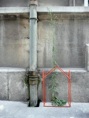 Serres Urbaines: proyecto de redescubrimiento de la biodiversidad urbana