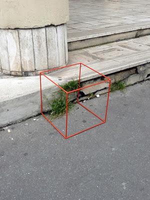 Serres Urbaines: proyecto de redescubrimiento de la biodiversidad urbana