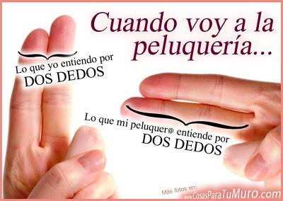 Peinados para las fiestas 2012 - Cabello largo