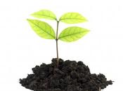 Vuestras consultas: sentido nada”