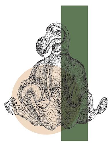 Combinando diferentes épocas de la historia en las ilustraciones de Anna Doronina