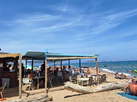 Review y opinión del Camping Delfín Verde Gerona para ir con niños