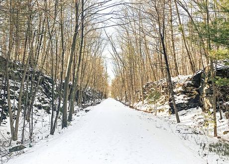 7 rutas de senderismo en Catskills que aman los lugareños