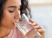 Beber mucha agua durante ayuda perder peso
