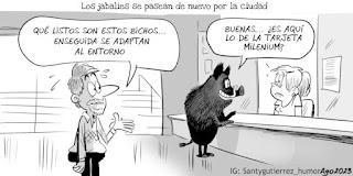 De la idea de normalidad