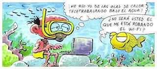 De la idea de normalidad