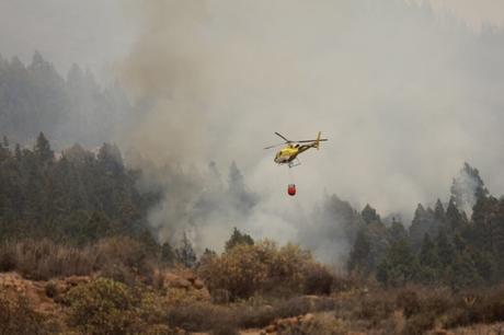 La noche transcurre tranquila en el incendio de Tenerife gracias un tiempo más favorable de lo esperado