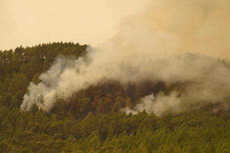 La noche transcurre tranquila en el incendio de Tenerife gracias un tiempo más favorable de lo esperado