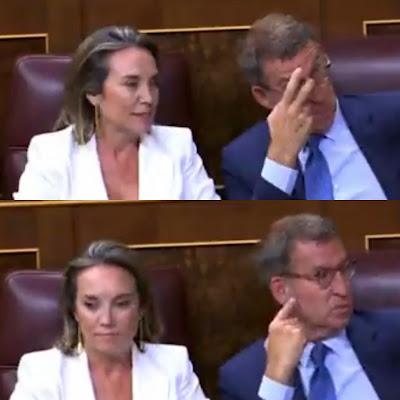 Los mayores pasan el verano solos o maltratados en residencias… mientras, en la derecha, pululan las caras largas, en el inicio de la legislatura.