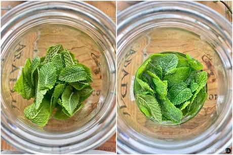 Licor de menta, el digestivo ideal para acabar bien tus comidas