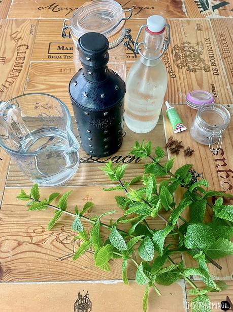 Licor de menta, el digestivo ideal para acabar bien tus comidas