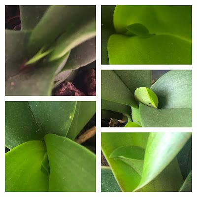 💜☀️ Otra semana ardiendo 💜☀️