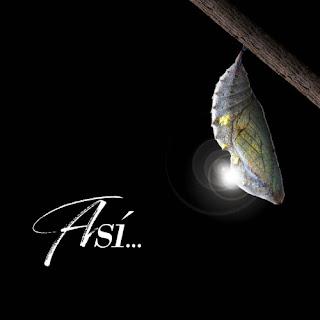 Así... - Así (2023)