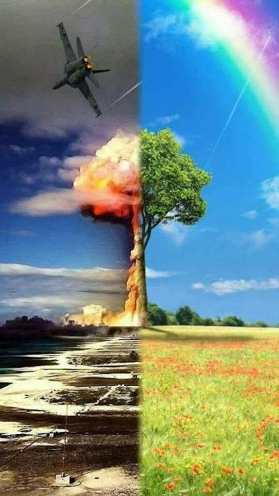 DÓNDE NACE LA POSVERDAD (O MENTIRA ACEPTABLE)