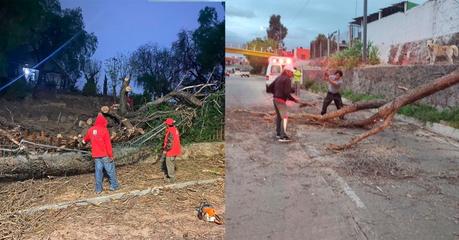 Ayuntamiento de SLP atiende emergencias por fuertes vientos y cierra el Parque de Morales