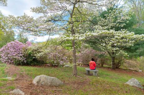 Connecticut College Arboretum