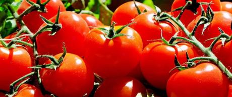 Que ver en la provincia de Valencia