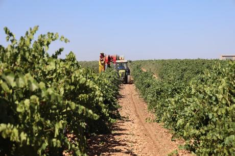 La Unión Africana suspende a Níger como miembro hasta el “restablecimiento del orden constitucional” en el país