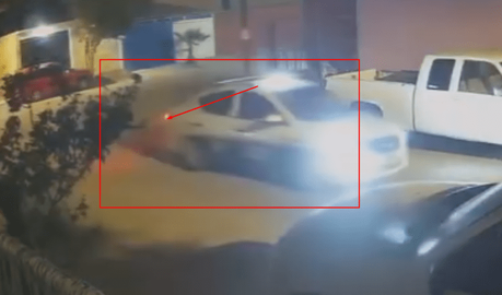 (video)Taxi 2231 atropella a dos perritas en situación de calle, una está grave