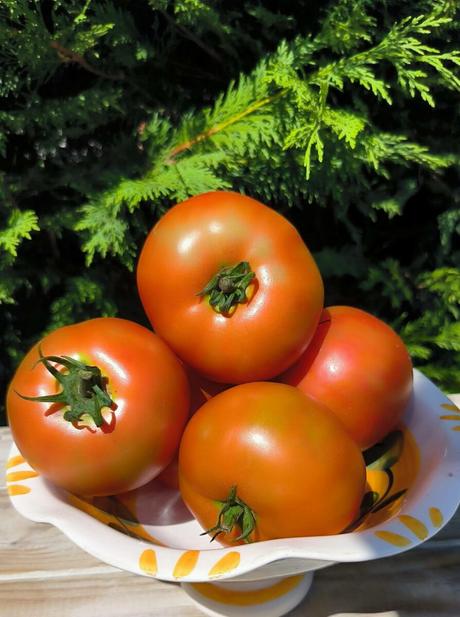 Ensalada de tomates de Ucieda una ensalada sana y sabrosa