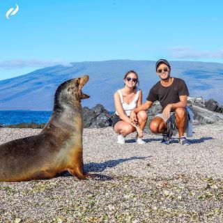 Descubre la magia de las islas Galápagos desde la comodidad de un hotel