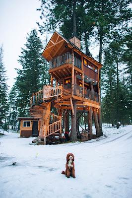 Cabaña de madera en la nieve