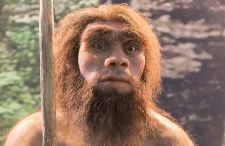 Neandertales: Descripción, Hechos importantes y Sitios Arqueológicos Historia-de-los-Neandertales Blog Elche Se Mueve