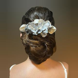 RECOGIDO ANDREA RECOGIDO ANDREA