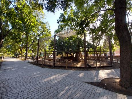 Pasendo Por Los Jardines De Viveros (Valencia)