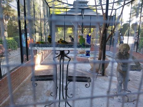 Pasendo Por Los Jardines De Viveros (Valencia)